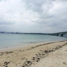 あいにくの曇り空でした。