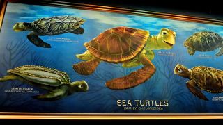 大人も子供も大喜び