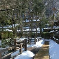 雪景色が最高です