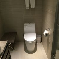 シャワートイレはありませんでした。残念。