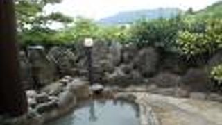 阿蘇火の鳥温泉　欧風料理宿　ログ山荘　火の鳥