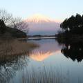 田貫湖に映る逆さ富士が綺麗なホテル