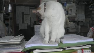 お見事な男根が祭られる子宝にご利益のある神社