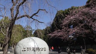 日本で初めて一般公開された広大なところです