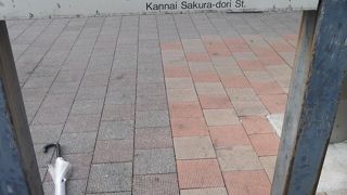 春なら桜が綺麗だそうです