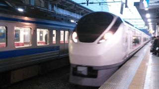 茨城にいくなら