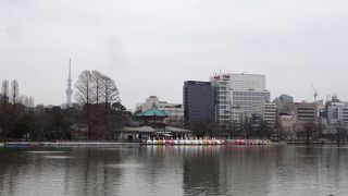 上野公園にある池