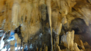 見学時間は30分位