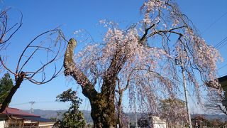 葉山神社の境内にある