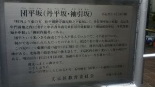 小石川図書館南東側の坂