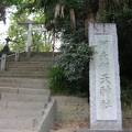 阿夫利天神社例祭