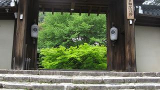 床みどりに見とれて・・・