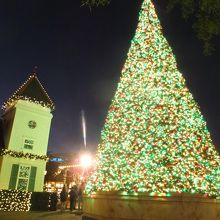 クリスマスの時期は大きなクリスマスツリーが飾られます