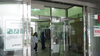 天気が良ければ「マングローブパーク」でカヤックもいいかも。