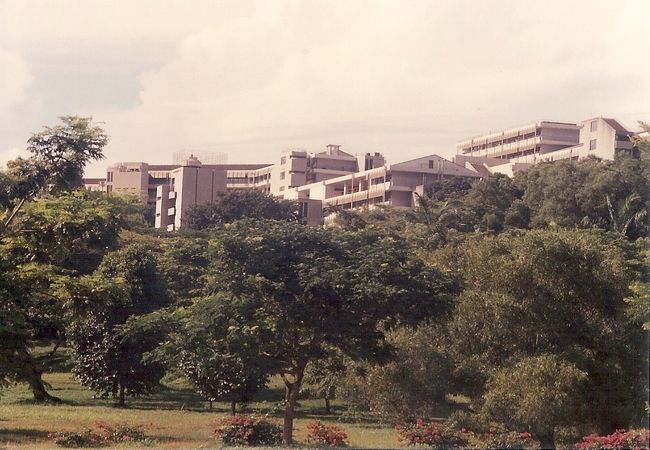 学問の最高峰です