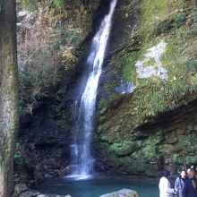 そこそこ大きな滝です