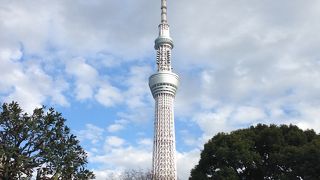 広々しています