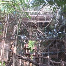 ドゥシット動物園