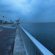 ﾏﾘﾝﾊﾟｰｸの現状(2)  夕刻で雨模様のこの日も数人の釣