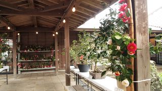 イベント時だったからか、催し物もあって楽しかった