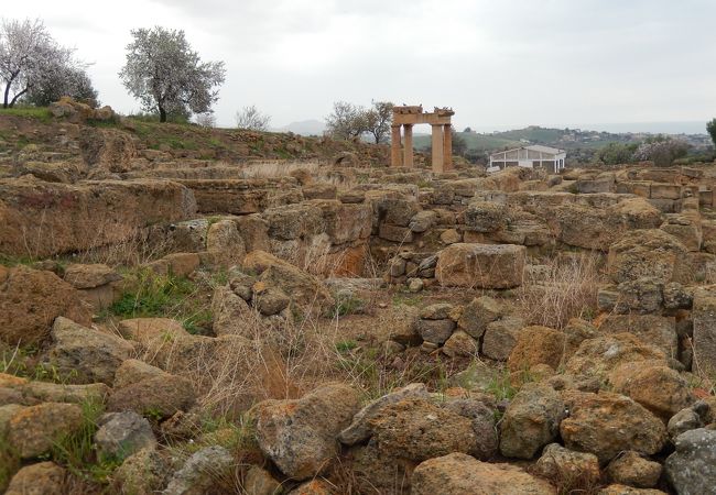 古代人の町の跡