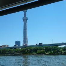 水辺からのスカイツリー