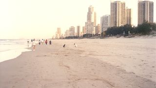 一年を通して温暖です