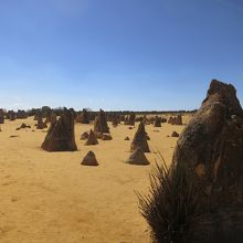 とくかく岩が沢山あります・・・