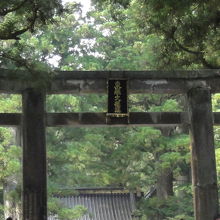 鳥居から続く道