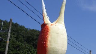 動くカニの爪が目印