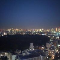 客室からの眺望