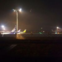 客室からの眺望