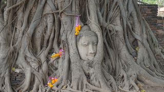 アユタヤの有名な場所です