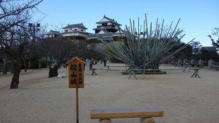 天守閣から眺めは最高