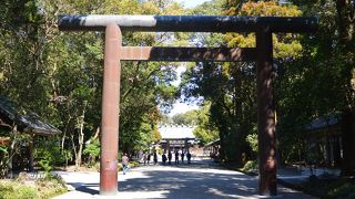市街地に近い大きな神宮