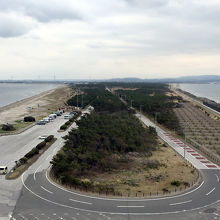 北側のビーチはウインドサーファーがいっぱい