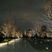 木々の向う、ちょうど正面に東京タワーが！