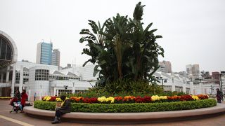 散策する場所と言うよりも通り抜けする場所