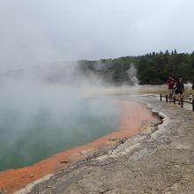 柵もなく真近で見れます。