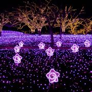 関東最大のイルミネーションの祭典