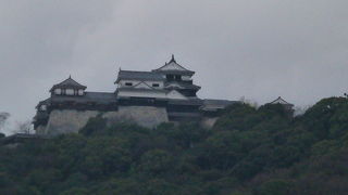 頂上へはケーブルカーとリフトから選択できます