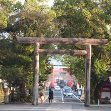 神宮から街を望む