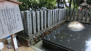 ゆで玉子を断ち割ったような奇妙な形