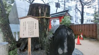 空襲にも負けず、生き延び、再生のシンボルに