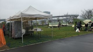 雨も風も止んでご機嫌