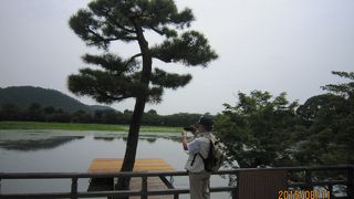 旧　嵯峨御所　大本山　大覚寺