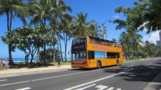 ワイキキトロリー