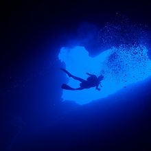 バディの姿が絵になります。