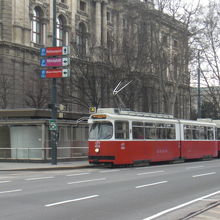 赤と白の色合いが何とも言えない