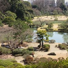 藤代峠から見た園内